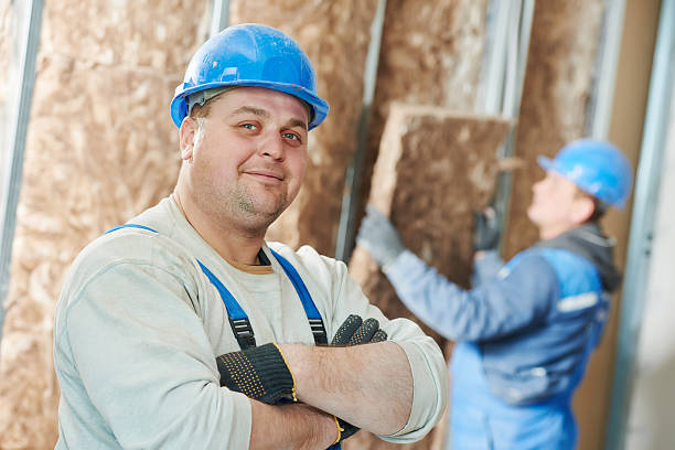 Best Crawl Space Insulation  in Lucedale, MS